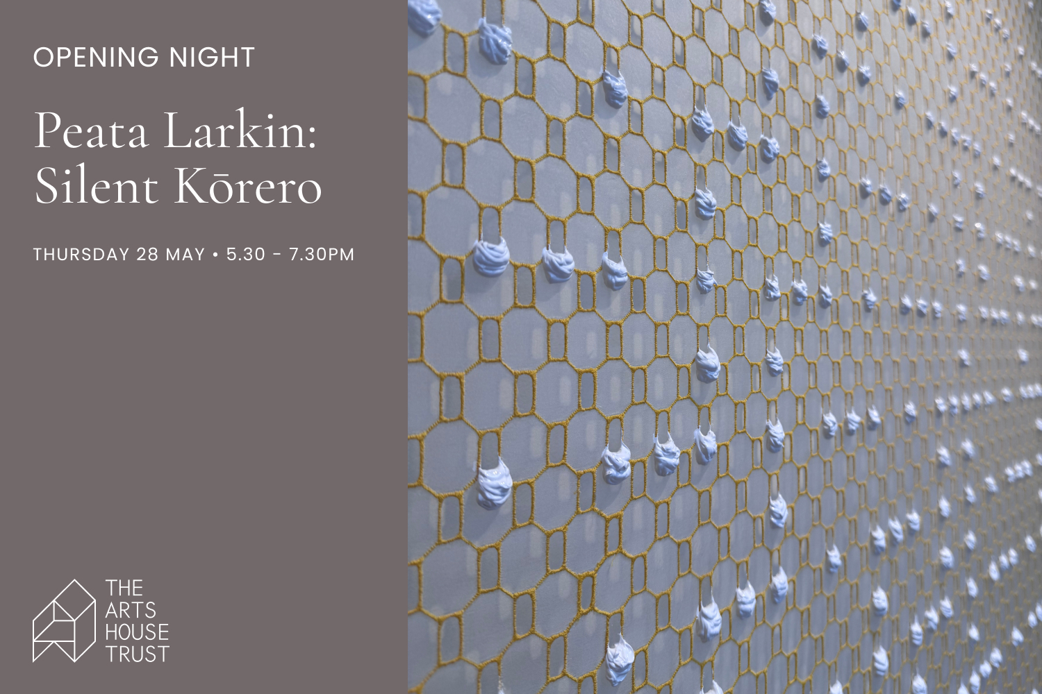 Exhibition Opening | Peata Larkin: Silent Kōrero