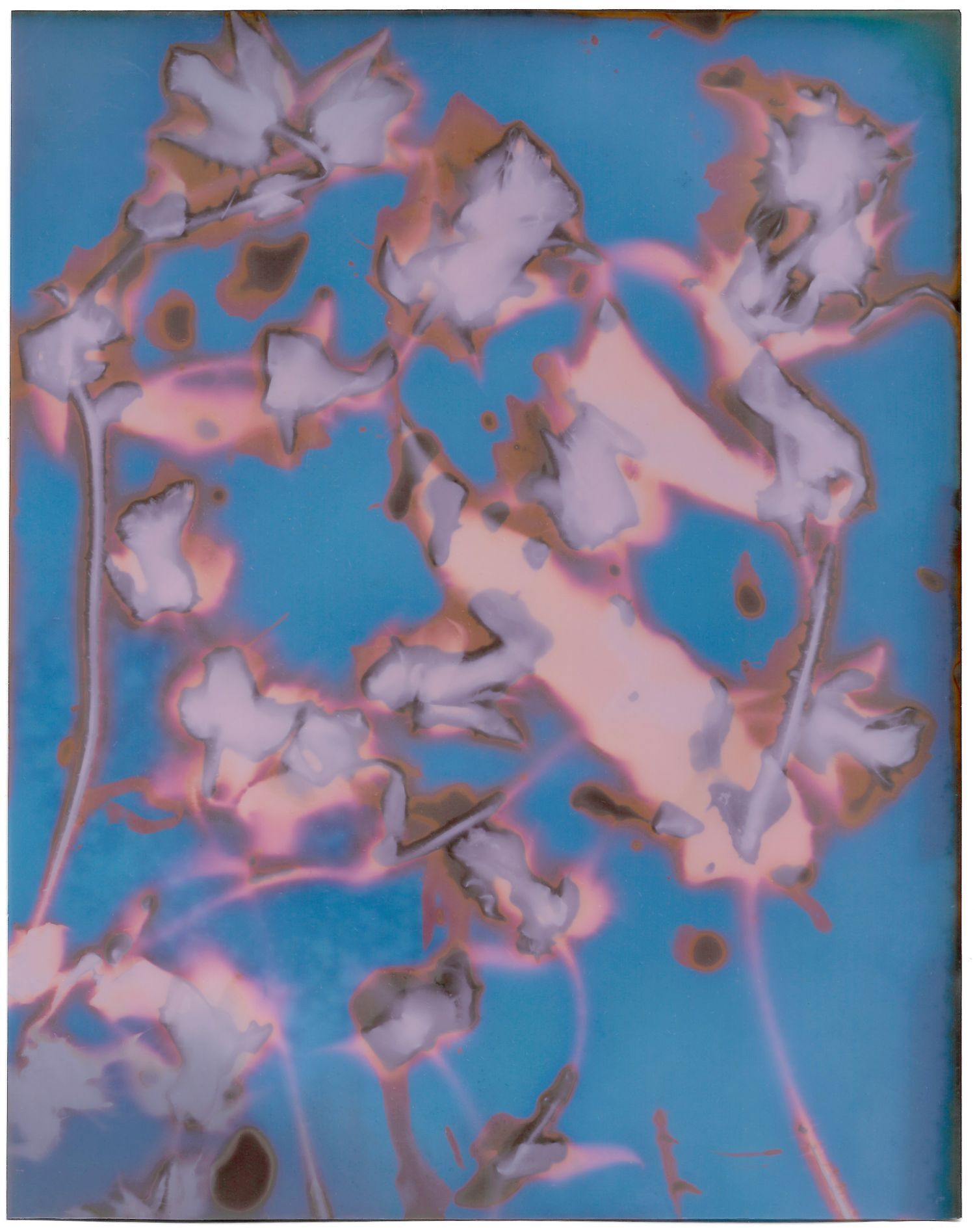 RANGE an In-Venue arts exhibition with the Auckland Festival of Photography