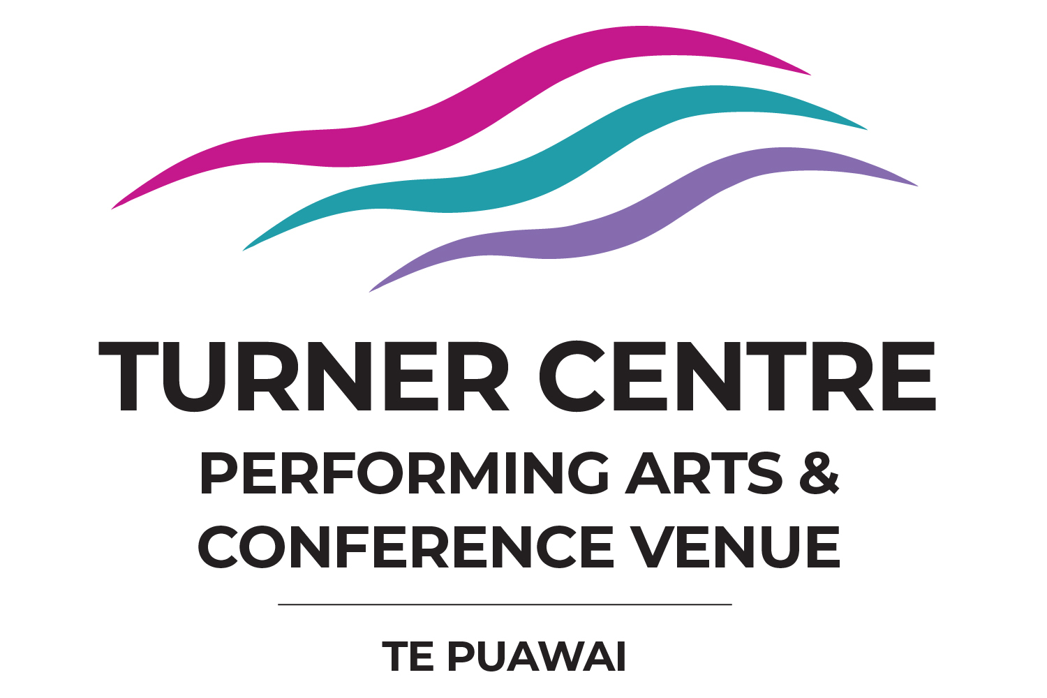 Turner Centre Logo